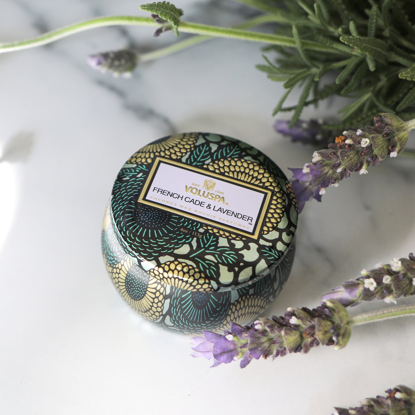 FRENCH CADE LAVENDER - MINI