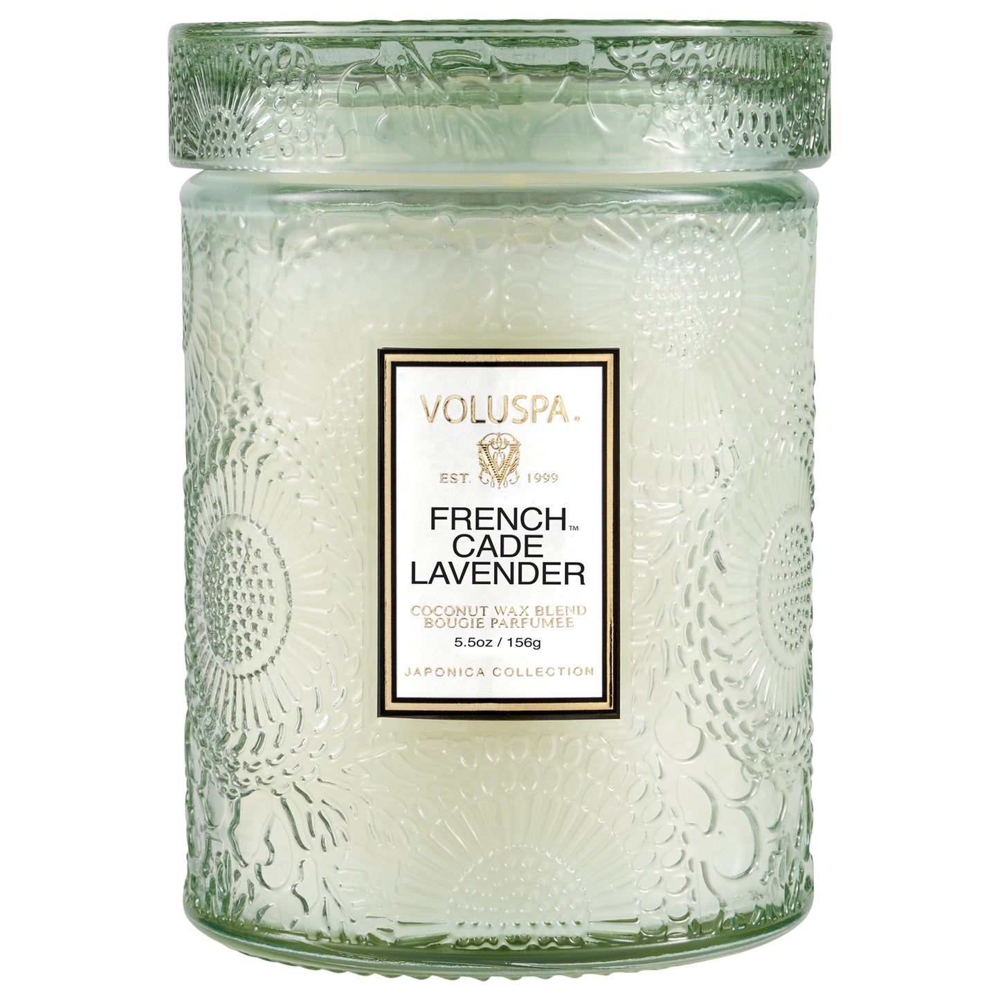 FRENCH CADE LAVENDER - MOYEN
