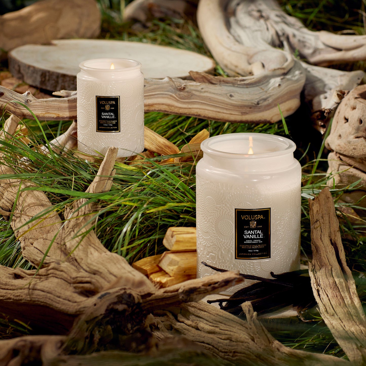 SANTAL VANILLE - LARGE