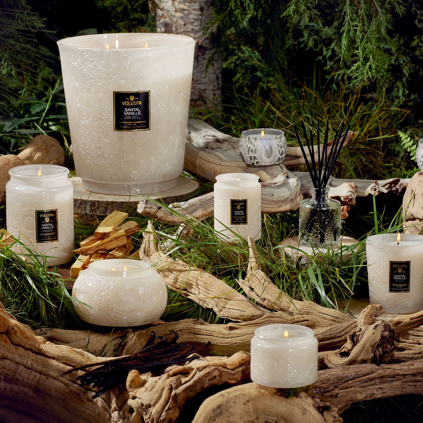 SANTAL VANILLE - MINI
