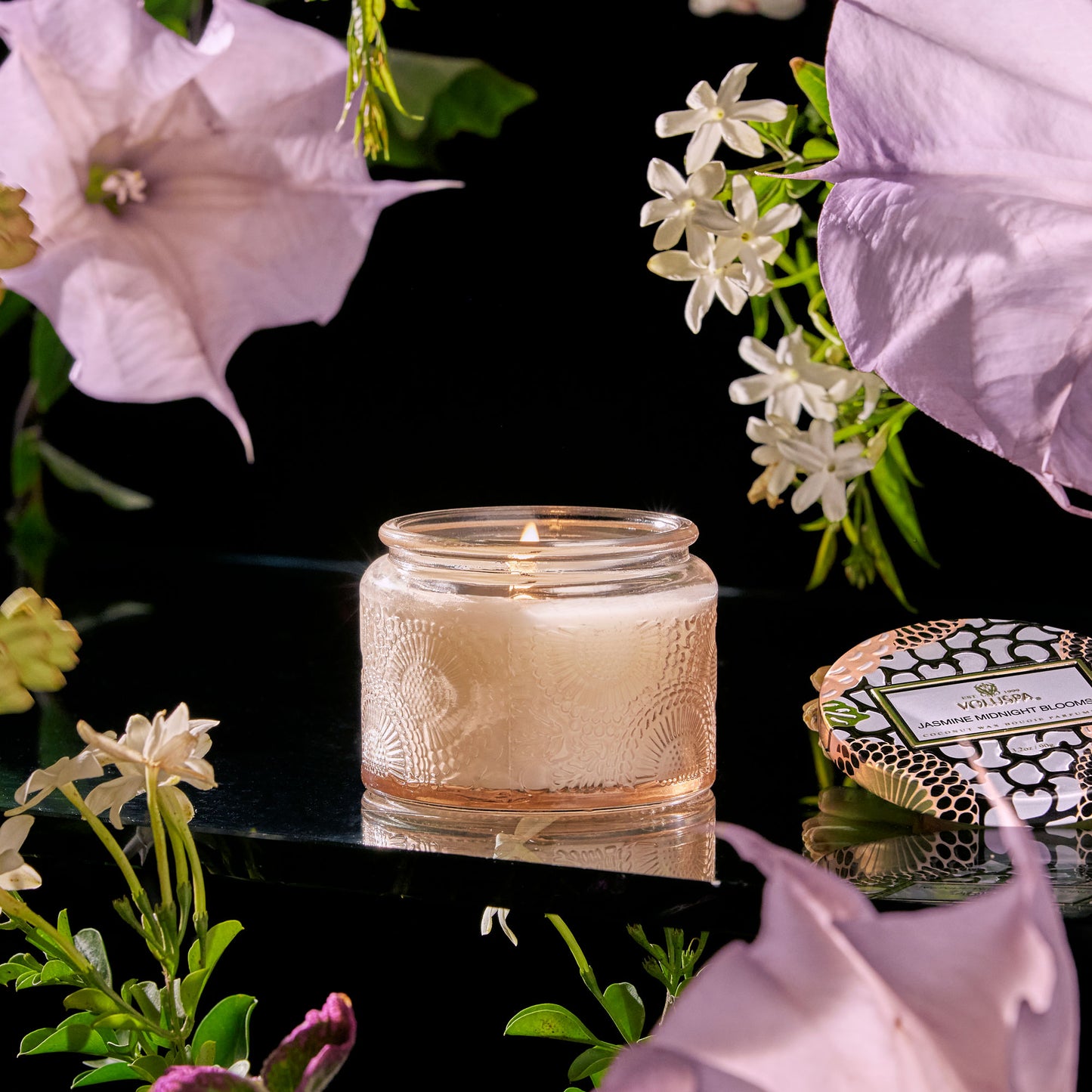 JASMINE MIDNIGHT BLOOMS - SMALL