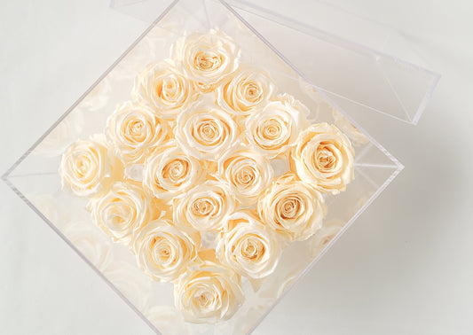 BOITE PLEXI - ROSES ÉTERNELLES
