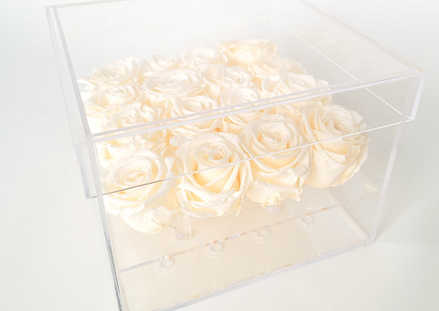 BOITE PLEXI - ROSES ÉTERNELLES