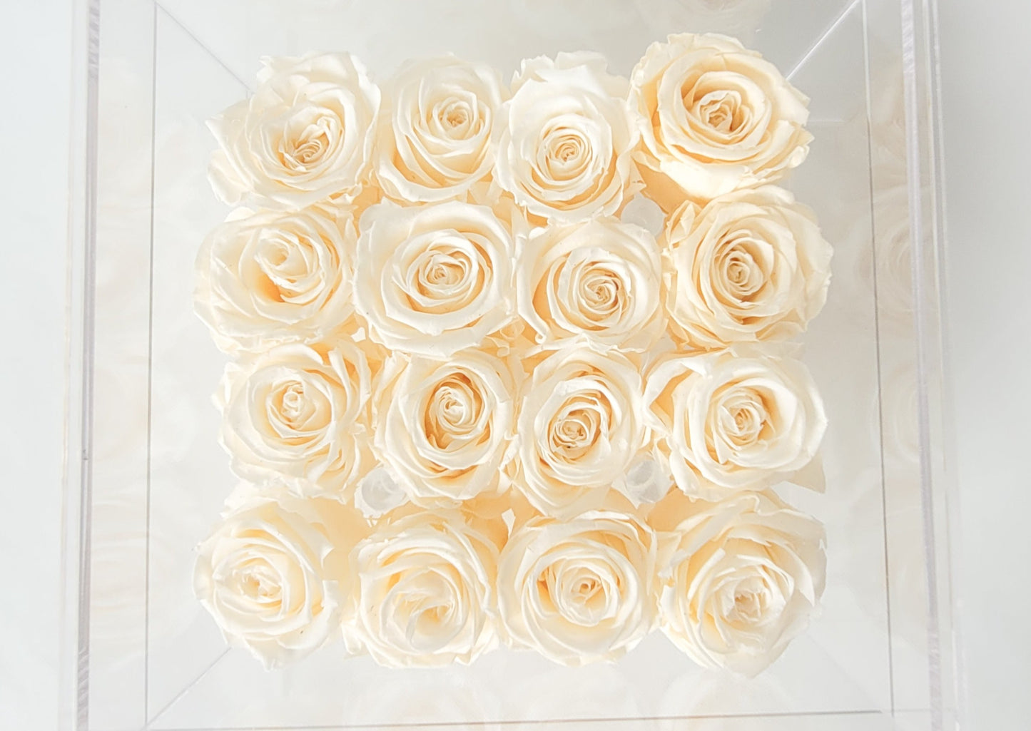 BOITE PLEXI - ROSES ÉTERNELLES