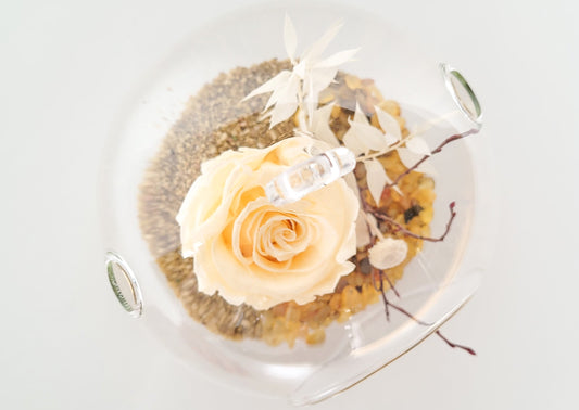 BULLE DE VERRE AVEC ROSES ÉTERNELLES