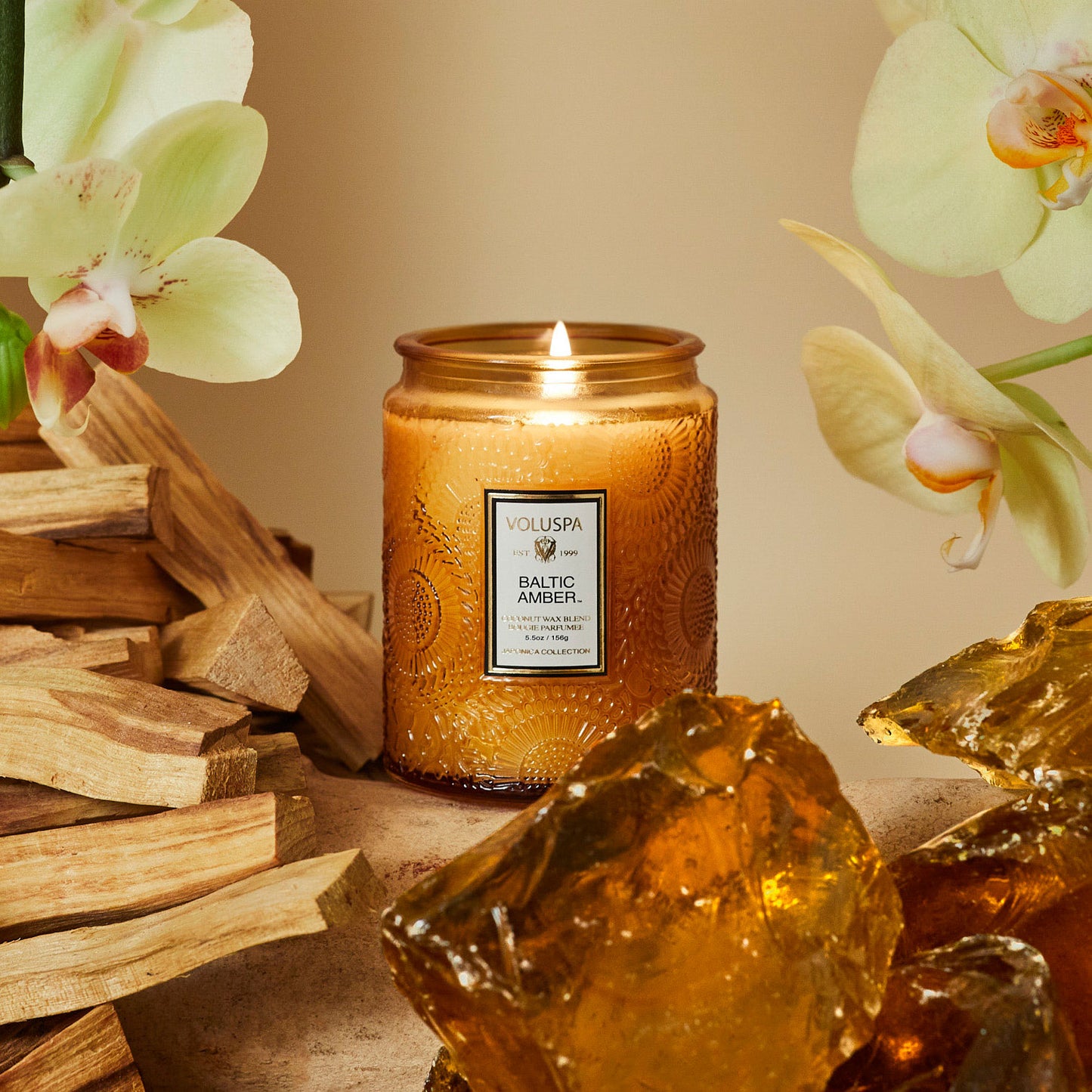 BALTIC AMBER - MEDIUM