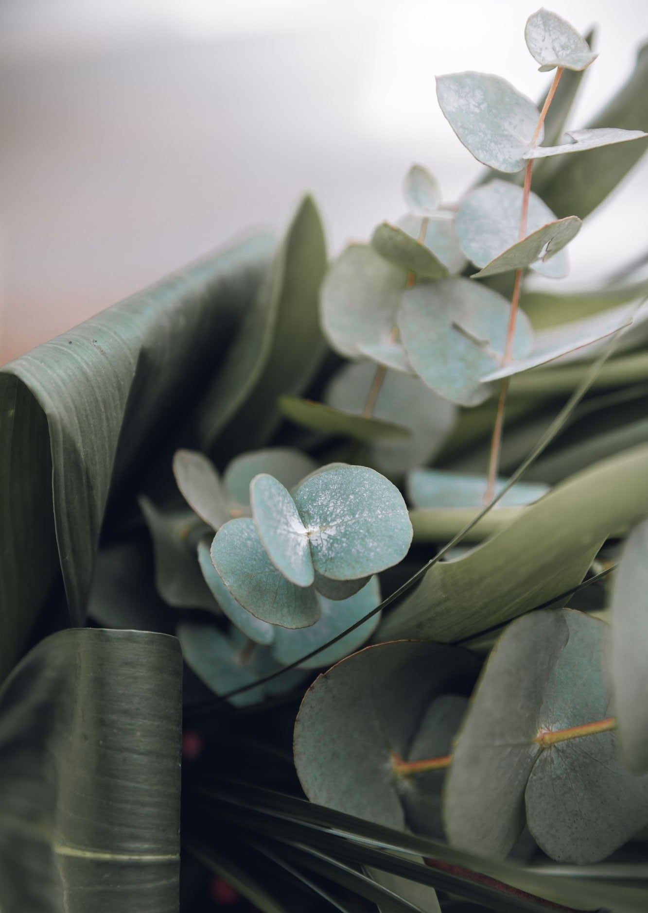 BOUQUET DE VERDURES