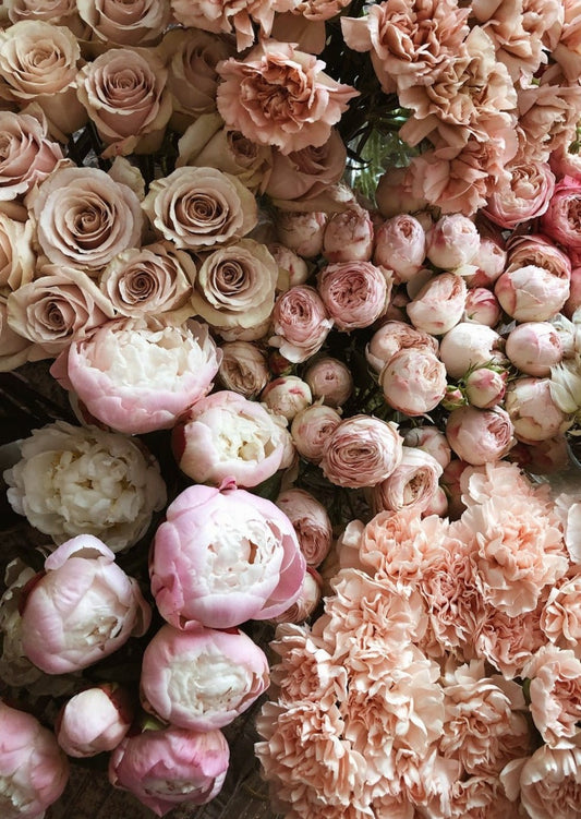 BOUQUET NUANCE DE BLUSH