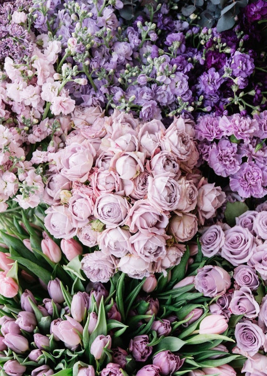 BOUQUET NUANCE DE VIOLET